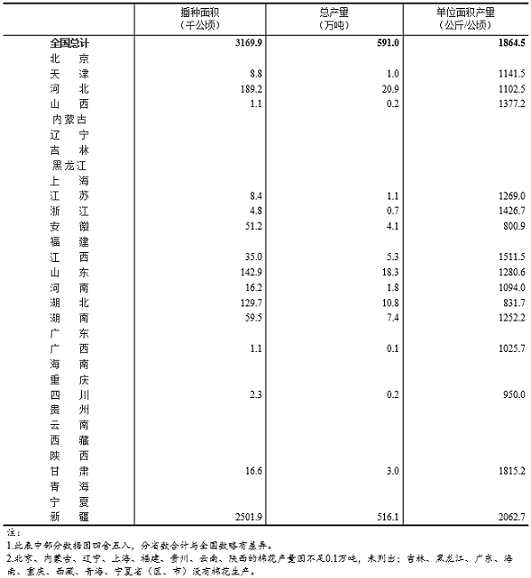 统计局：全国棉花总产量591万吨 同比增长0.4%